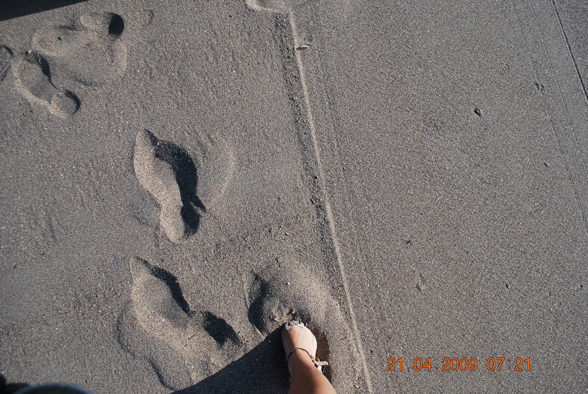 imagini hotel TITANIC LARA